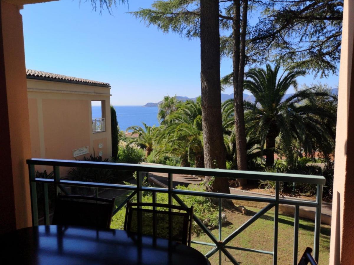 Duplex vue mer spendide, terrasse piscine jardins parking Cannes Buitenkant foto
